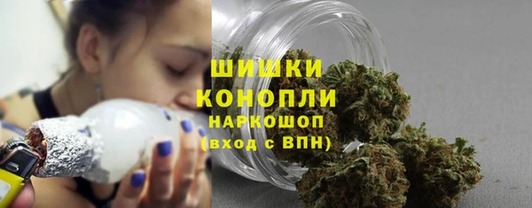 шишки Абинск