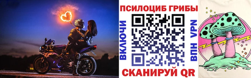 наркошоп Лакинск Псилоцибиновые грибы мицелий