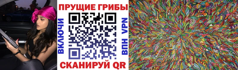 Галлюциногенные грибы Cubensis Лакинск